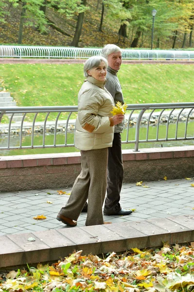 Heureux Couple Personnes Âgées Marche Dans Parc — Photo