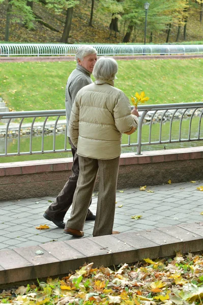 Feliz Pareja Ancianos Caminando Parque —  Fotos de Stock