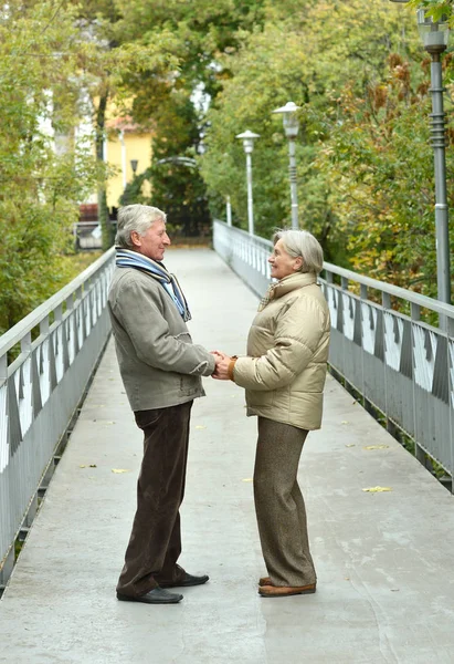 Счастливая Старшая Пара Мосту Парке — стоковое фото