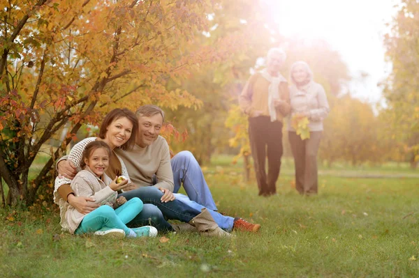 Grote familie op picknick — Stockfoto