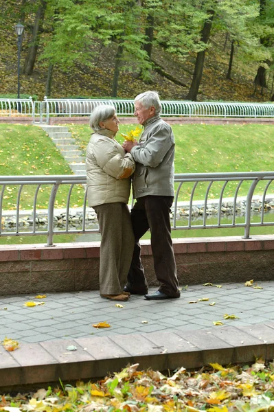 Boldog Idős Pár Sétál Parkban — Stock Fotó