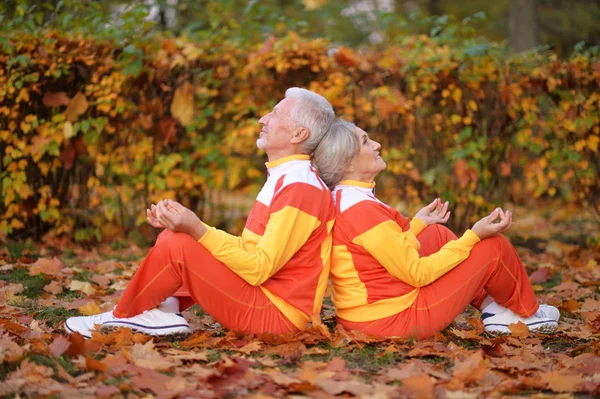 Feliz Casal Sênior Meditando Parque Outonal — Fotografia de Stock