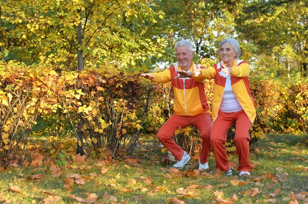 Gelukkige Senior Paar Doen Oefeningen Herfst Park — Stockfoto