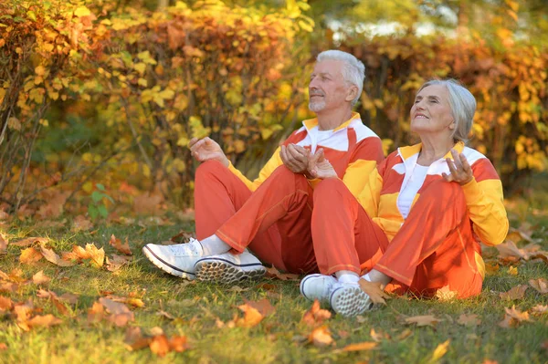 Gelukkige Senior Paar Mediteren Herfst Park — Stockfoto