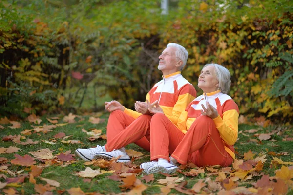 秋の公園で瞑想幸せな先輩カップル — ストック写真