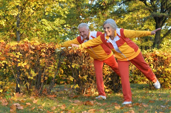 Happy Senior Couple Doing Exercises Autumnal Park — Stock Photo, Image