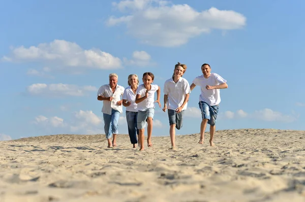 Grootouders Met Hun Kleinkinderen Het Zand — Stockfoto