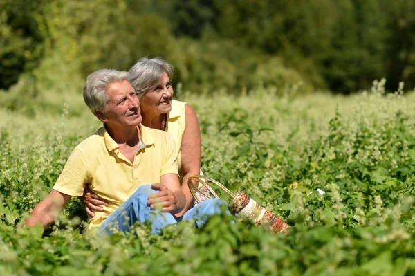 Nettes Älteres Paar Sitzt Auf Grünem Gras Sommerpark — Stockfoto