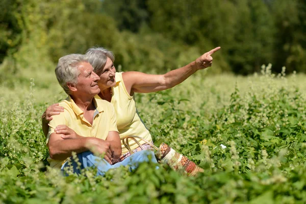 Mooi Ouder Paar Zittend Groen Gras Zomer Park Woman Wijzend — Stockfoto