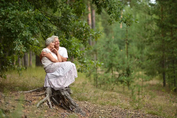 夏の公園で座っている素敵な熟年カップル — ストック写真
