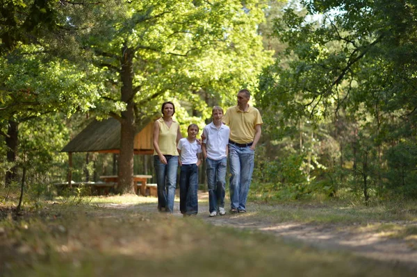 Gelukkig Gezin Van Vier Herfst Park Wandelen — Stockfoto