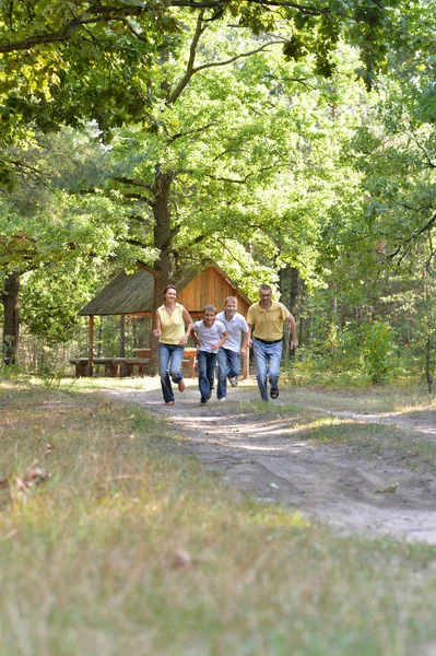 Ευτυχισμένη Οικογένεια Από Τις Τέσσερις Φθινόπωρο Πάρκο Λειτουργεί — Φωτογραφία Αρχείου