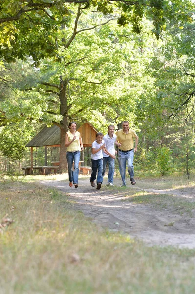 Dört Sonbahar Park Çalışan Mutlu Aile — Stok fotoğraf