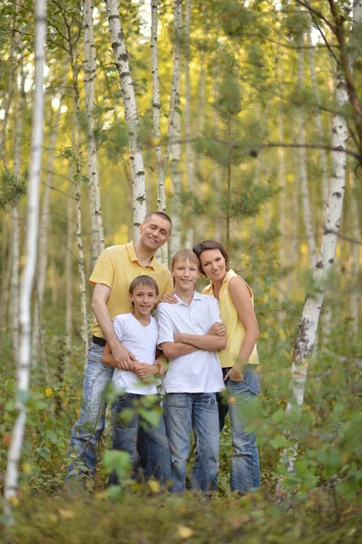 快乐的四人家庭在秋天公园 — 图库照片