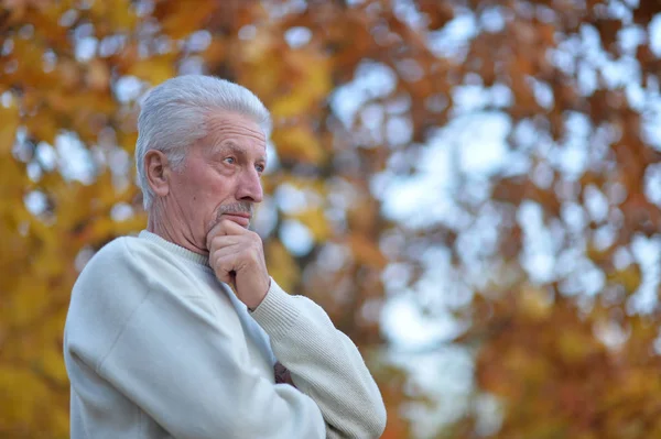 Portrait Thoughtful Senior Man Blured Autumn Forest Background — Stock Photo, Image