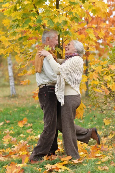 Šťastný Pár Senior Tančí Podzimním Parku — Stock fotografie