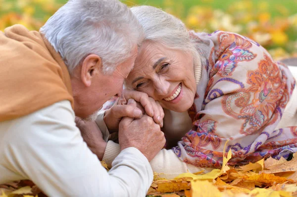 Casal Sênior Feliz Relaxante Parque Outono — Fotografia de Stock