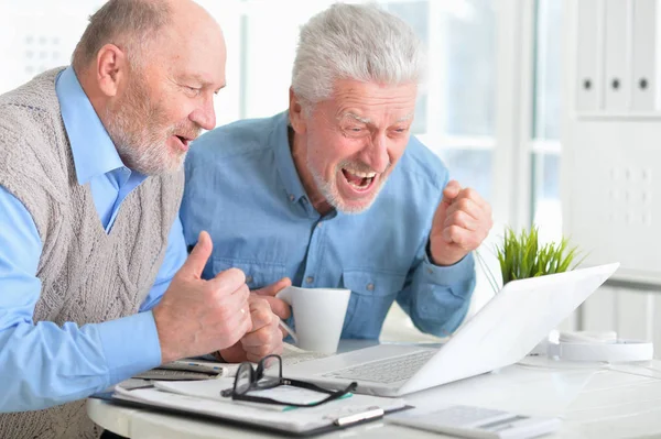 Two Confident Senior Businessmen Working Laptop Modern Office — Stock Photo, Image