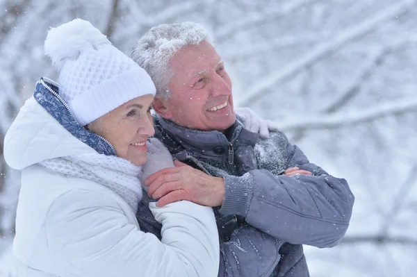 Gelukkige Senior Paar Winter Open Lucht — Stockfoto