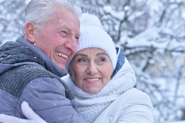 Kış Açık Havada Kıdemli Mutlu Çifte — Stok fotoğraf