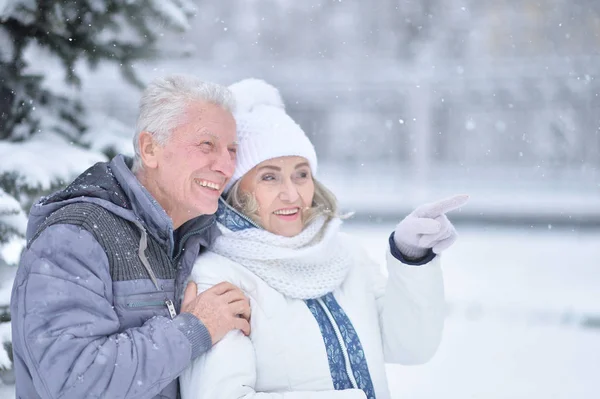 Ευτυχισμένο Ζευγάρι Ανώτερος Στο Χειμώνα Εξωτερικούς Χώρους Γυναίκα Που Δείχνει — Φωτογραφία Αρχείου