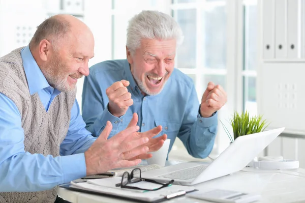 Two Confident Senior Businessmen Working Laptop Modern Office — Stock Photo, Image