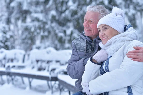 Gelukkige Senior Paar Winter Open Lucht — Stockfoto