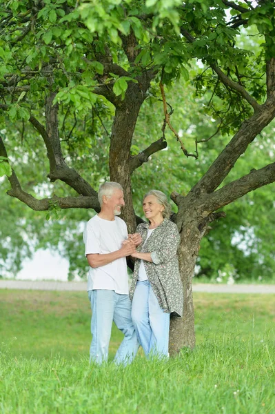 Portrét Krásného Seniorského Páru Parku — Stock fotografie