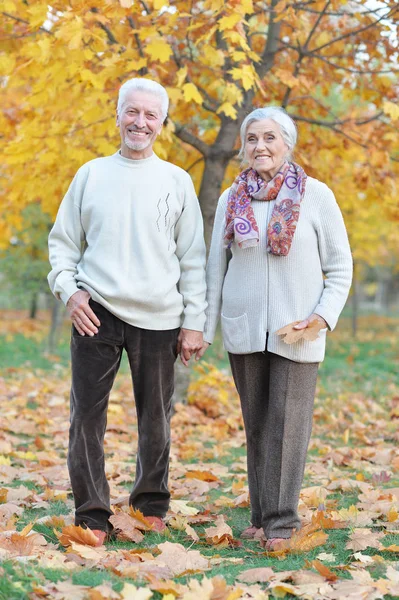 秋の公園で幸せな先輩夫婦 — ストック写真