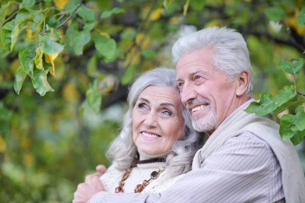 Portret Van Mooie Hoge Paar Knuffelen Het Park — Stockfoto