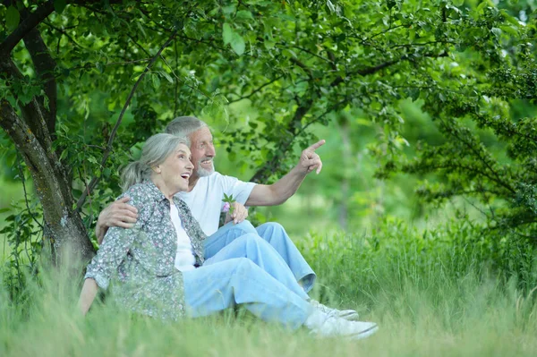 Portrét Krásného Seniorského Páru Parku — Stock fotografie