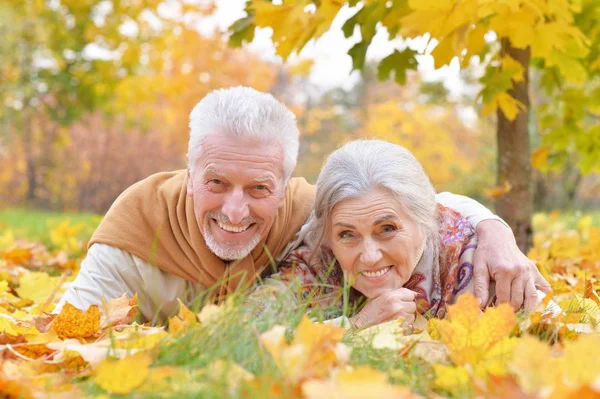 Gelukkige Senior Paar Liggen Park — Stockfoto