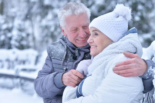 Heureux Couple Aîné Extérieur Hiver — Photo