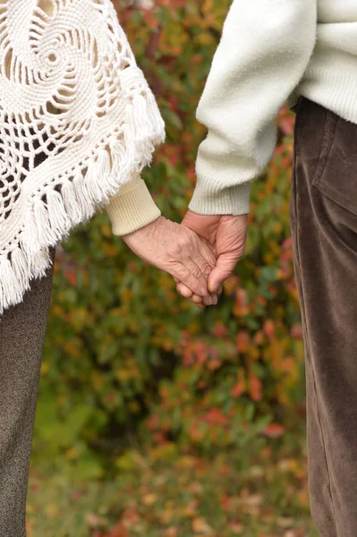Couple Holding Hands Together Background Park — Stock Photo, Image