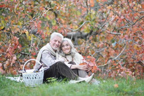 公園でピクニックを持っている高齢者のカップル — ストック写真