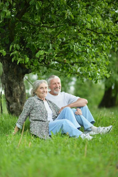 Porträt Eines Schönen Seniorenpaares Park — Stockfoto