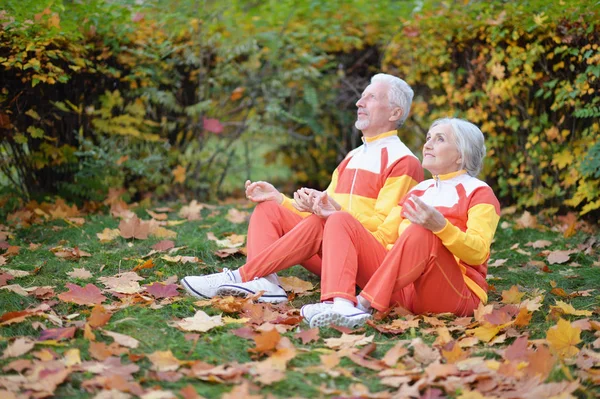 Boldog Idősebb Pár Meditál Őszi Park — Stock Fotó
