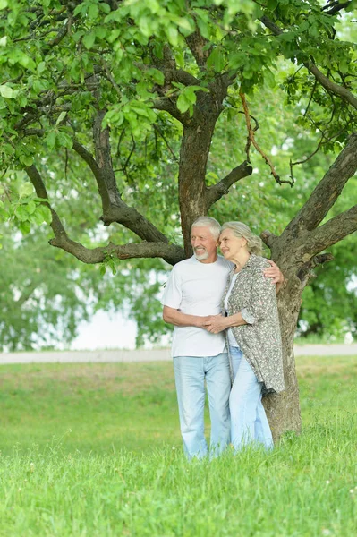 Portret Pięknej Pary Seniorów Parku — Zdjęcie stockowe