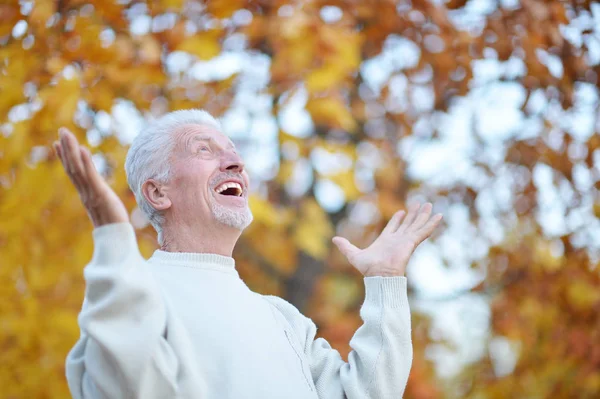 Happy Elderly Man Posing Autumn Park — Stock Photo, Image