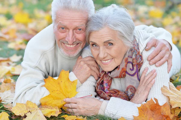 Heureux Couple Aîné Couché Dans Parc — Photo