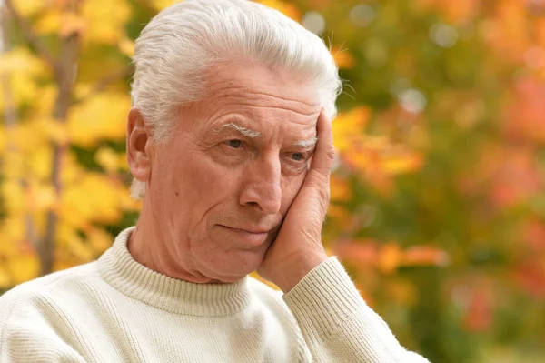 Retrato Homem Idoso Triste Parque — Fotografia de Stock