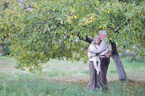 Retrato Hermosa Pareja Ancianos Abrazándose Parque —  Fotos de Stock