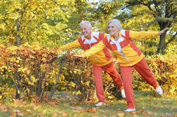 Pasuje Starszy Kilka Ćwiczeń Jesienny Park — Zdjęcie stockowe