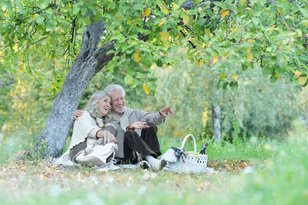 Liefdevolle Bejaarde Echtpaar Met Een Picknick Het Park — Stockfoto