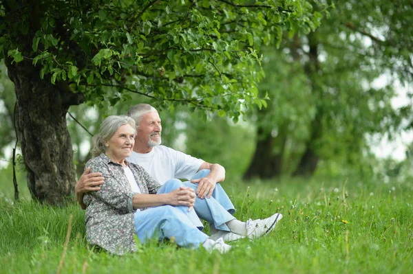 Porträt Eines Schönen Seniorenpaares Park — Stockfoto