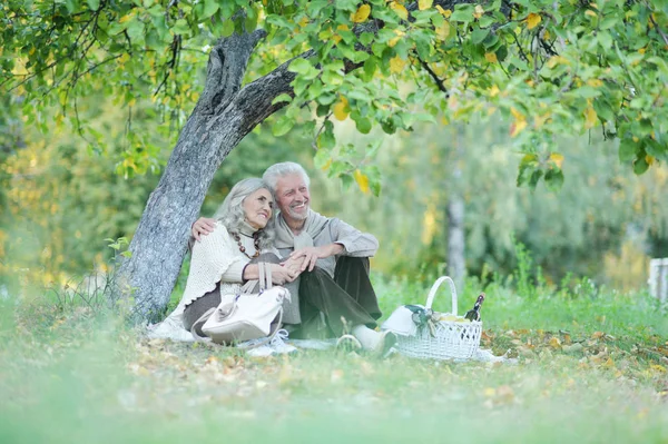 爱的老年夫妇在公园野餐 — 图库照片