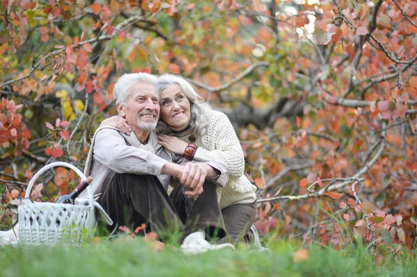Älteres Ehepaar Beim Picknick Park — Stockfoto