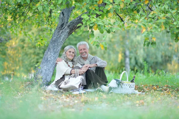 Любящие Пожилые Пары Устраивают Пикник Парке — стоковое фото