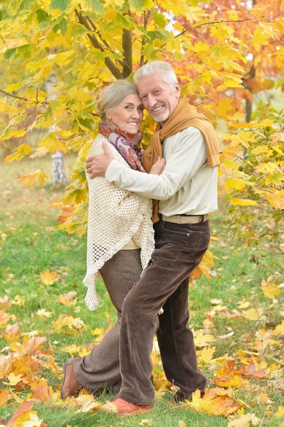 Felice Coppia Anziana Nel Parco Autunnale — Foto Stock