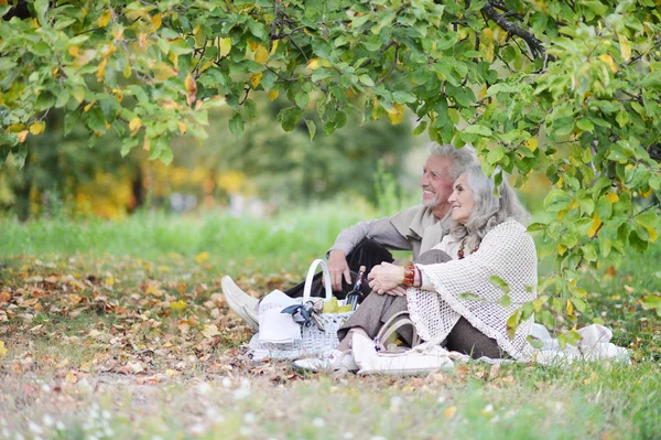 Loving Elderly Couple Having Picnic Park — Stock Photo, Image